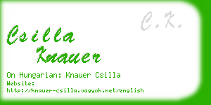 csilla knauer business card